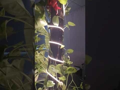 COB Rope Light DC 24V 180 Degree View Angle Dotless