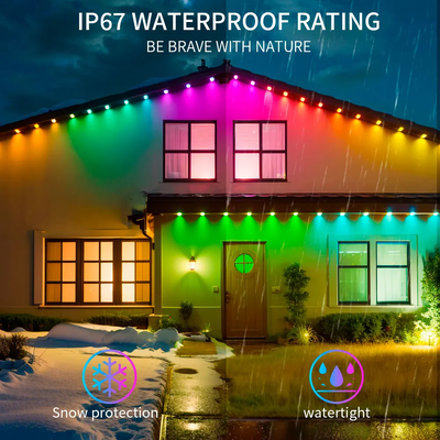 Pixel Light คริสต์มาสต์ สีสันตกแต่งบ้าน 2024 RGB โปรแกรม LED รูปทรง IP65 กันน้ํา ไฟวันหยุด