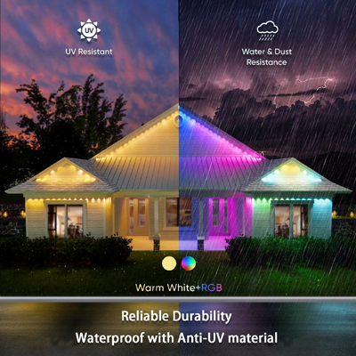 Pixel Light คริสต์มาสต์ สีสันตกแต่งบ้าน 2024 RGB โปรแกรม LED รูปทรง IP65 กันน้ํา ไฟวันหยุด