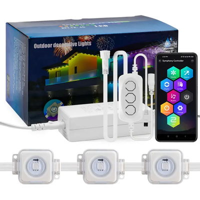 Pixel Light คริสต์มาสต์ สีสันตกแต่งบ้าน 2024 RGB โปรแกรม LED รูปทรง IP65 กันน้ํา ไฟวันหยุด