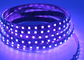 UV สีม่วง 12v 24v แถบไฟ LED สีม่วง 395nm UV Led Tape 5050 Smd